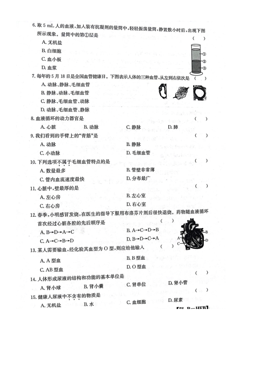 河北省石家庄市赵县2022-2023学年七年级下学期6月月考生物试题（图片版 无答案）