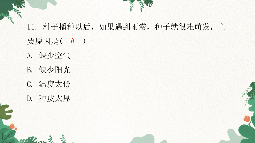 人教版生物七年级上册 第三单元生物圈中的绿色植物水平测试卷习题课件(共44张PPT)