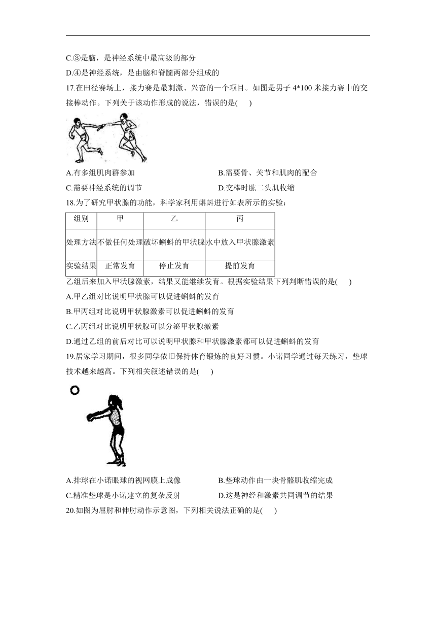 第6单元生命活动的调节和生态系统的稳定（第十六、十七章）能力提升单元测试（word版含解析）2021-2022学年苏科版八年级上册生物