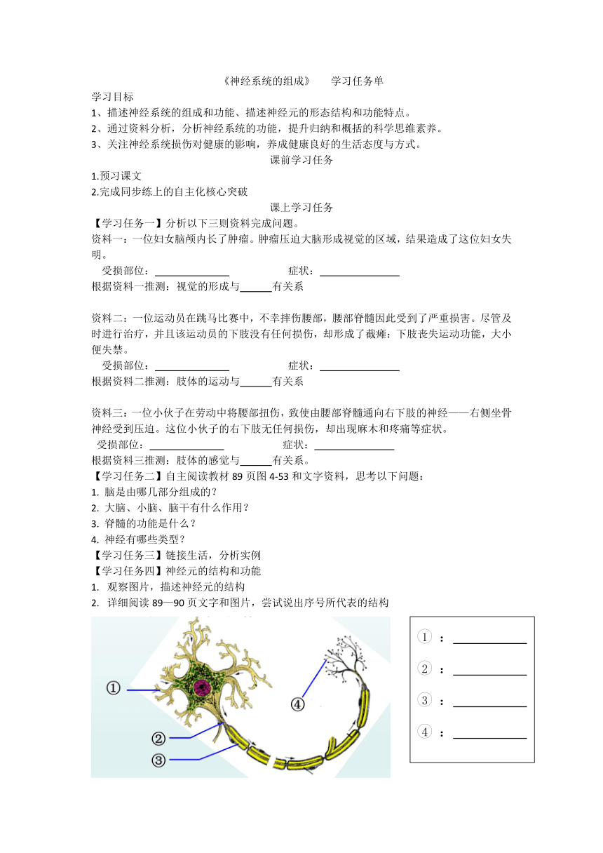 4.6.2  神经系统的组成  学习任务单（无答案）-2022-2023学年人教版生物七年级下册