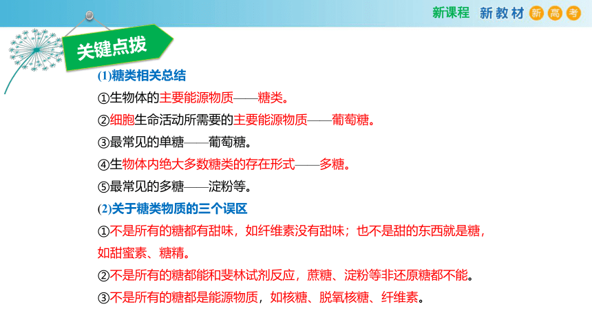 2.3 细胞中的糖类和脂质(2课时）(课件共22张PPT)