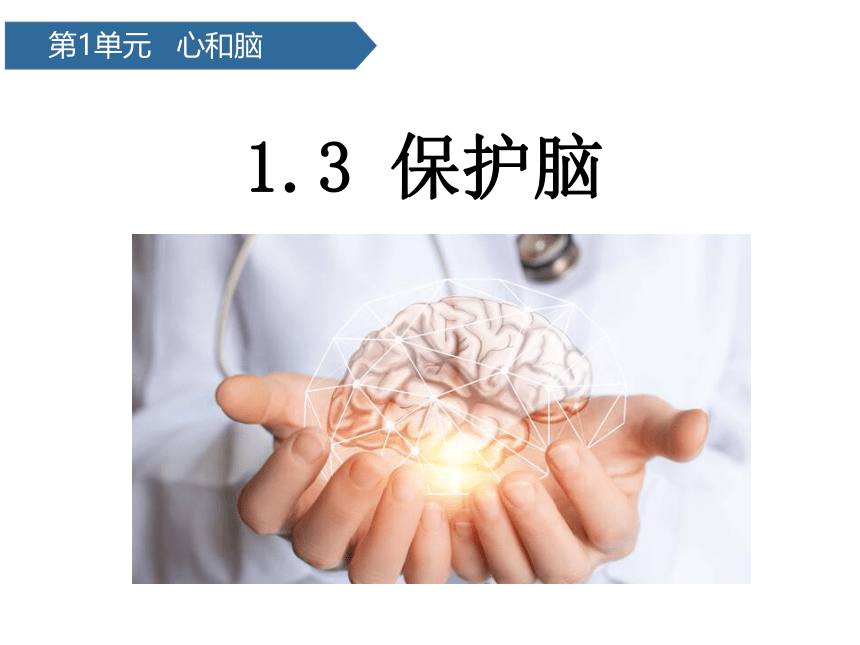 青岛版（六三制2017秋 ）五年级下册1.3保护脑  课件（18ppt）