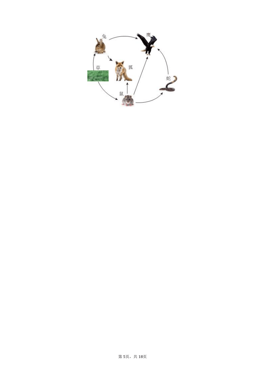 2022-2023学年甘肃省张掖市重点中学八年级（下）期中生物试卷（含解析）