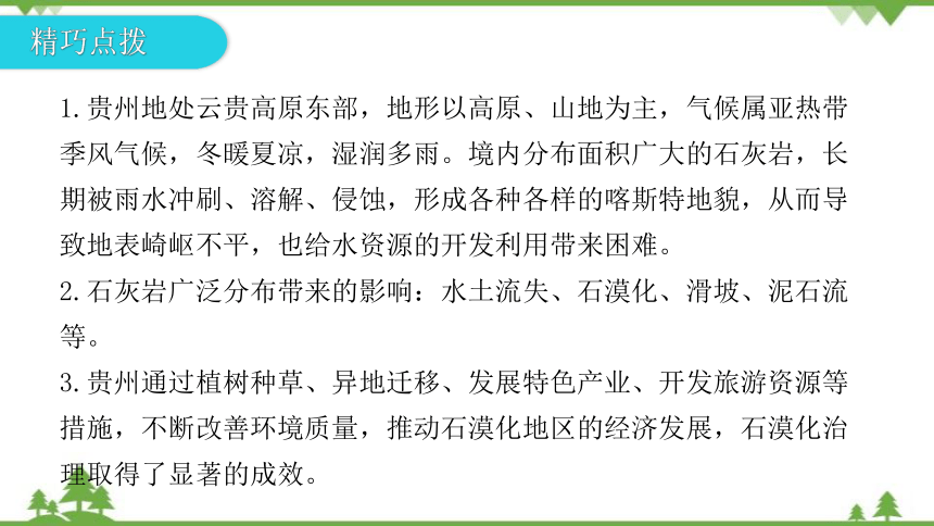 湘教版地理八年级下册 第八章第四节  贵州省的环境保护与资源利用 习题课件(共32张PPT)