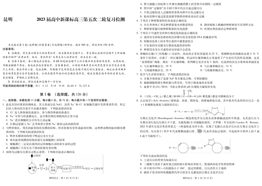 2023届云南省昆明市高三下学期第五次二轮复习检测（二模）理综试卷（PDF版无答案）