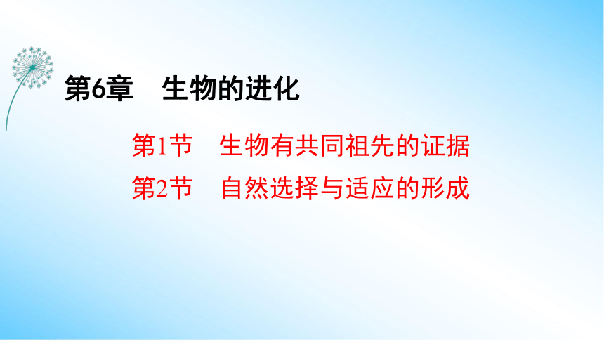 【课件版学案】6-1 生物有共同祖先的证据&6-2 自然选择与适应的形成  人教版2019必修2(共43张PPT)