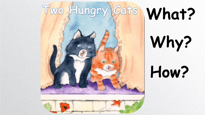 绘本 Two Hungry Cats 课件(共14张PPT)