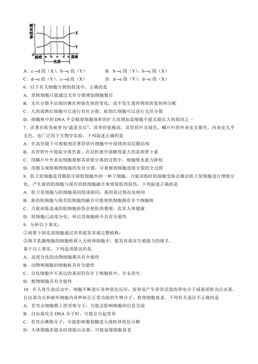 内蒙古自治区兴安盟乌兰浩特第一中学2023-2024学年高一下学期第一次月考生物学试题（含答案）