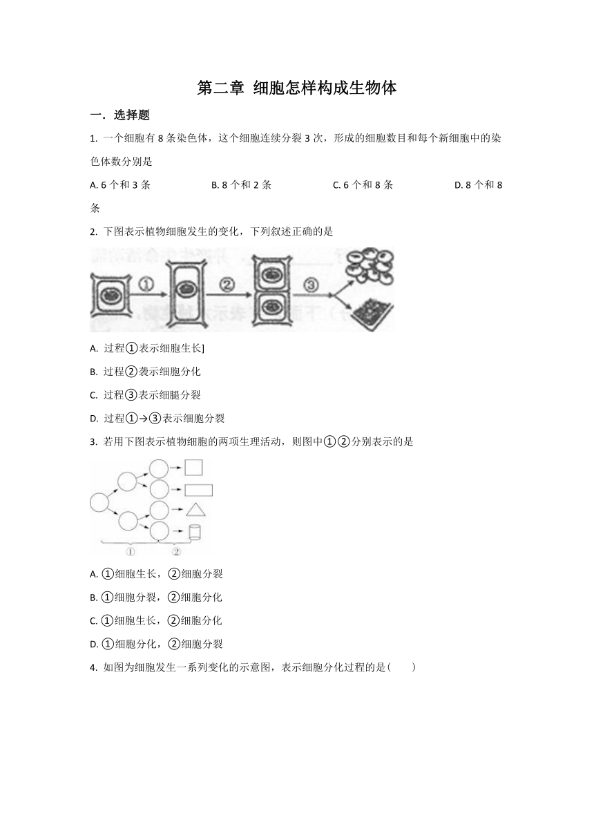 人教版七上生物第2单元第2章细胞怎样构成生物体单元试卷（含解析）