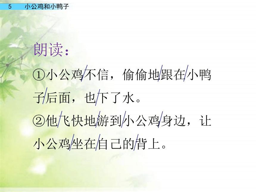 4 小公鸡和小鸭子 课件(共41张PPT)