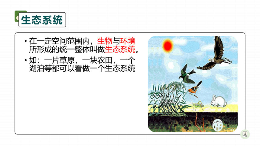 人教版七年级上册生物1.2.2生物与环境组成生态系统课件（21张PTT）