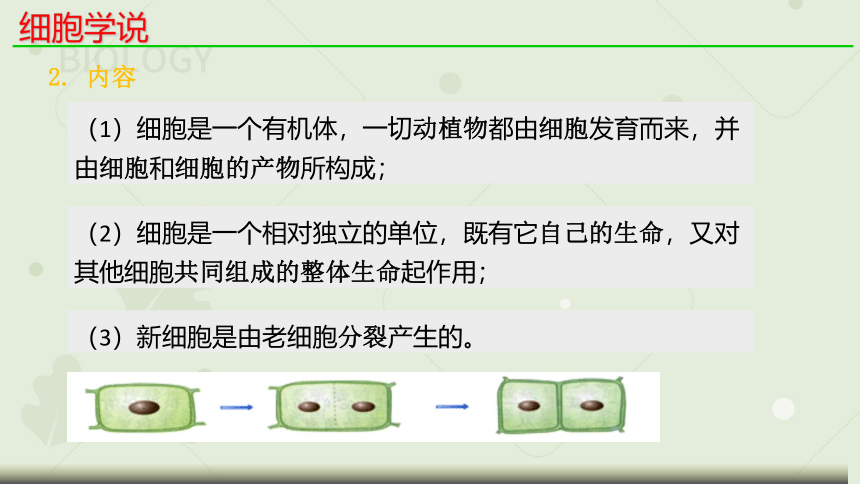 1.1细胞是生命活动的基本单位_新人教2019版必修1(共23张PPT)