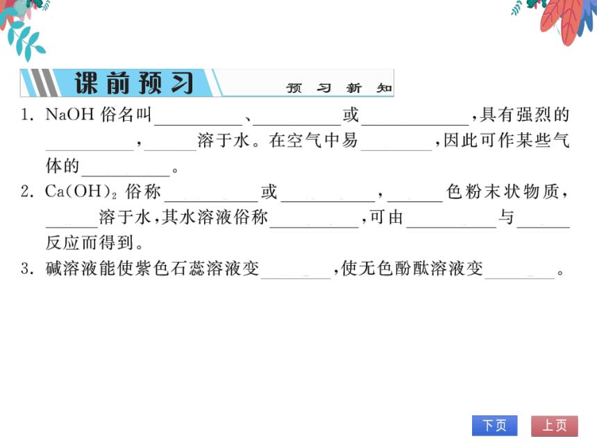 【人教版】化学九年级下册-第十单元 课题1 第3课时 常见的碱 (习题课件)