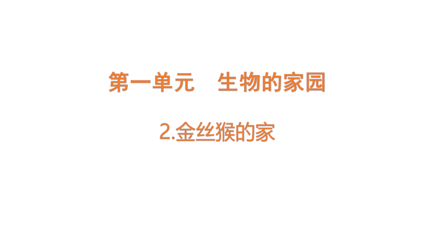 大象版六年级科学下册 1.2  金丝猴的家 课件(共17张PPT 含练习)