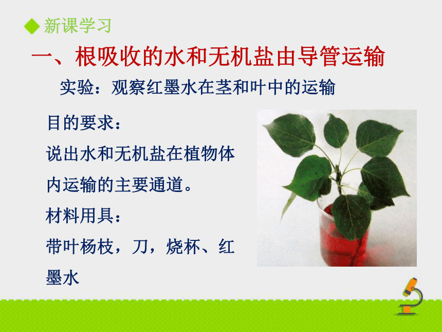 2020-2021学年北京版七年级下册生物第五章第一节 《植物体内的物质运输》课件（37张PPT）