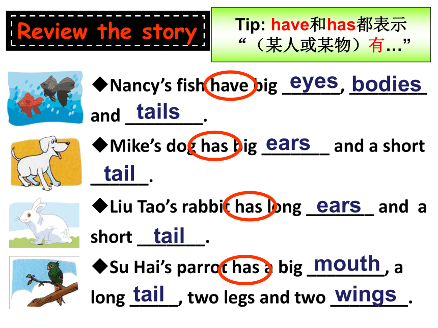 Unit 3 Our animal friends（Grammar-Fun time）课件（共52张PPT）