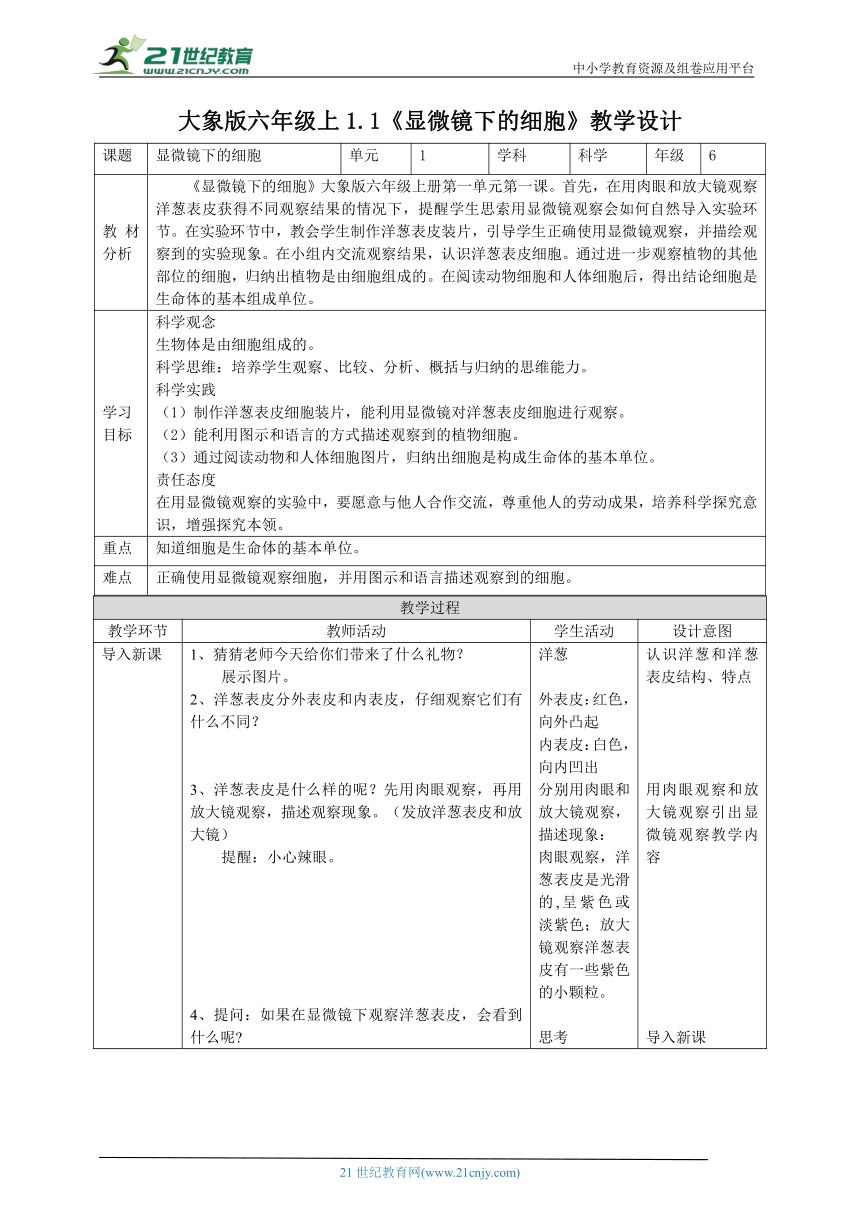 【核心素养目标】1.1《显微镜下的细胞》教案