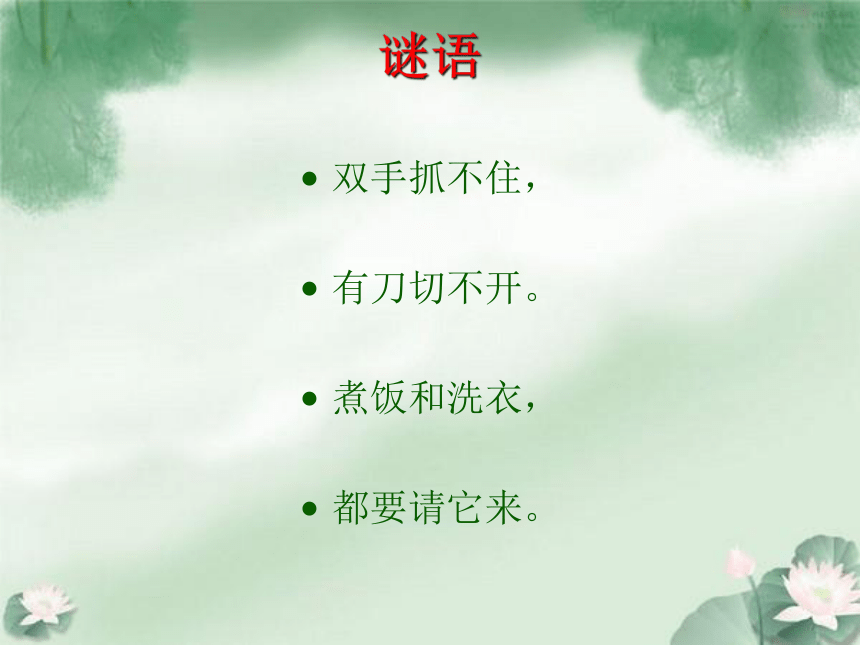 苏教版（2017秋）一年级下册科学课件-2.4 水是什么样的 (课件共14张ppt)