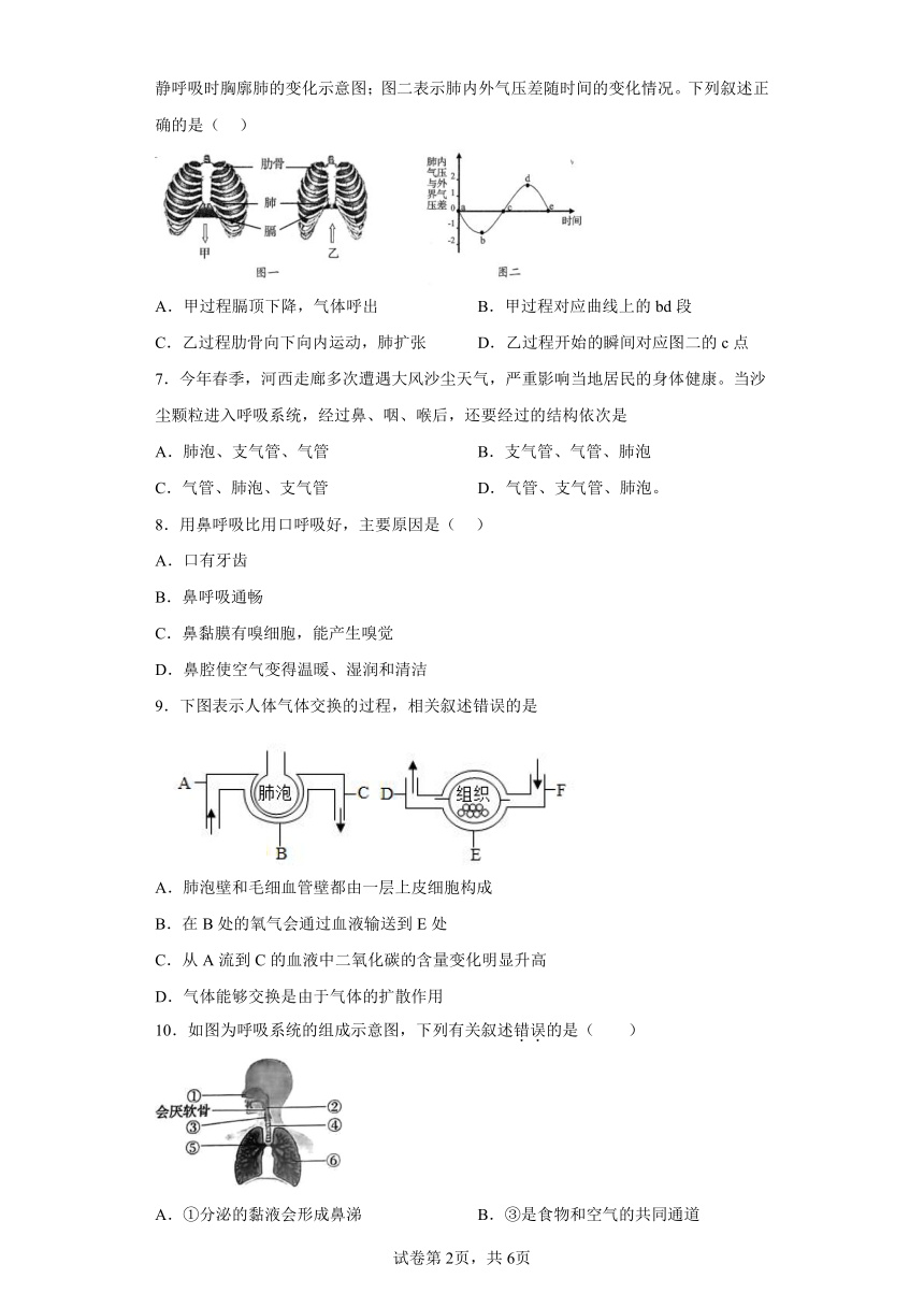 第10章 人体的能量供应 章节练习 （含解析）北师大版七年级下册生物