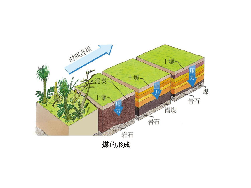 2020-2021学年九年级物理人教版全一册 第二十二章 第3节 太阳能 课件(共54张PPT)