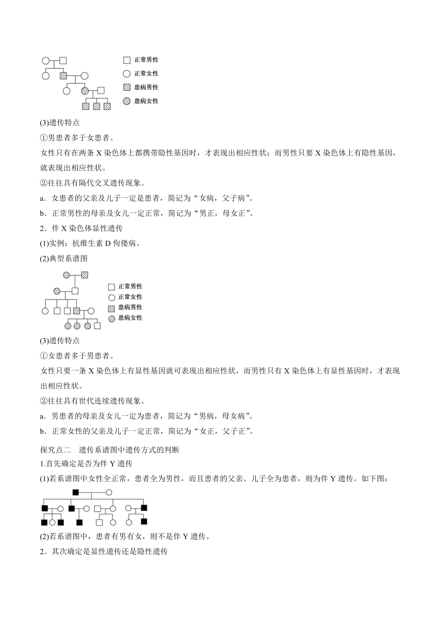 2.3伴性遗传的学案