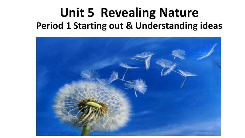 外研版（2019）选择性必修一Unit 5 Revealing nature Starting out  & Understanding ideas课件（共9张）