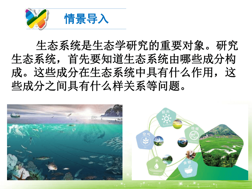 2021--2022学年北师大版生物八年级下册8.23.2生态系统概述课件(共27张PPT)