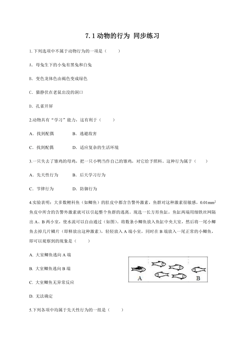 7.1 动物的行为 同步练习（含答案）