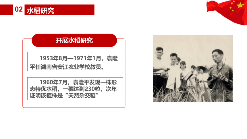 2021届高考语文作文素材 纪念伟大的杂交水稻之父”袁隆平” 课件（33张PPT）
