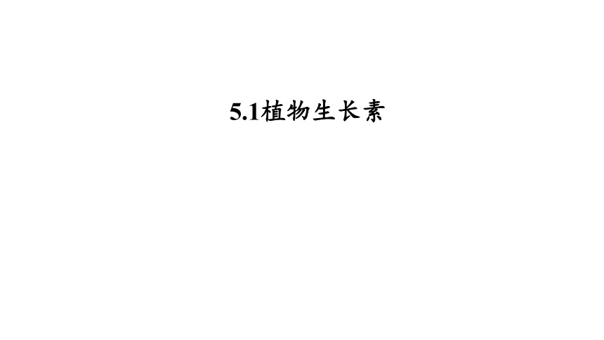 5.1 植物生长素课件2021-2022学年高二上学期生物人教版选择性必修1(33张PPT）