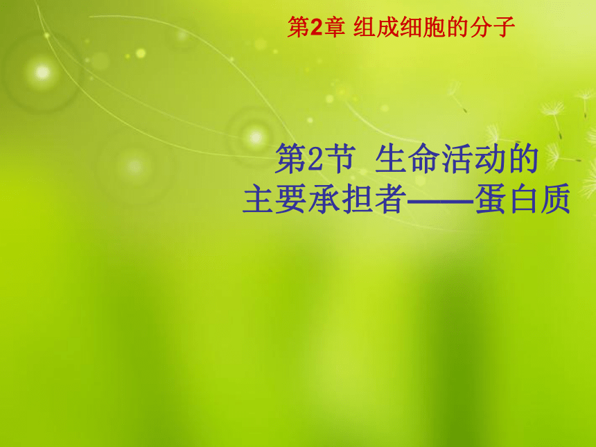 人教版必修一高中生物《第二章 第二节 生命活动的主要承担着 蛋白质》课件(25张PPT)