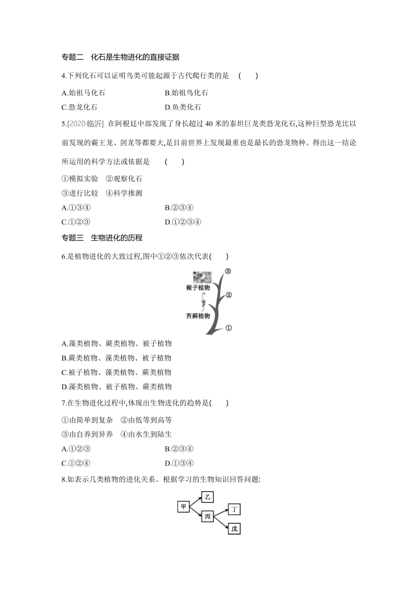 北京版生物学八年级上册同步练习：第12章　生命的起源和生物的进化  单元专题分类训练(word版含答案）