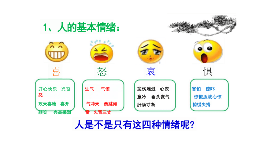 4.1 青春的情绪 课件(共24张PPT)+内嵌视频-2023-2024学年统编版道德与法治七年级下册