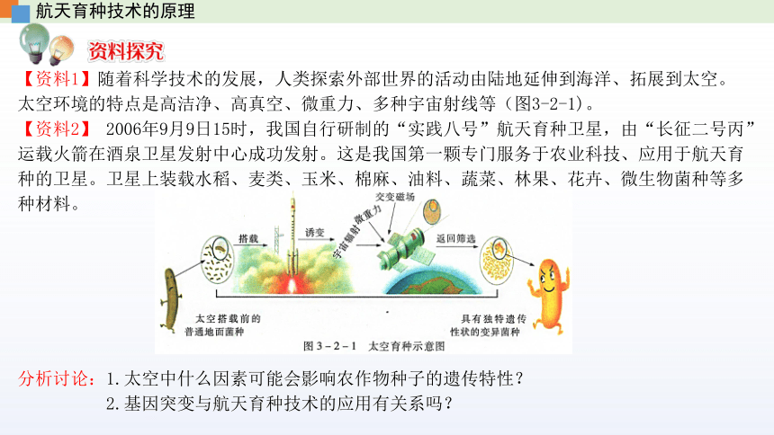 高中生物新苏教版必修二3.2 基因突变和基因重组 课件 (共37张PPT)