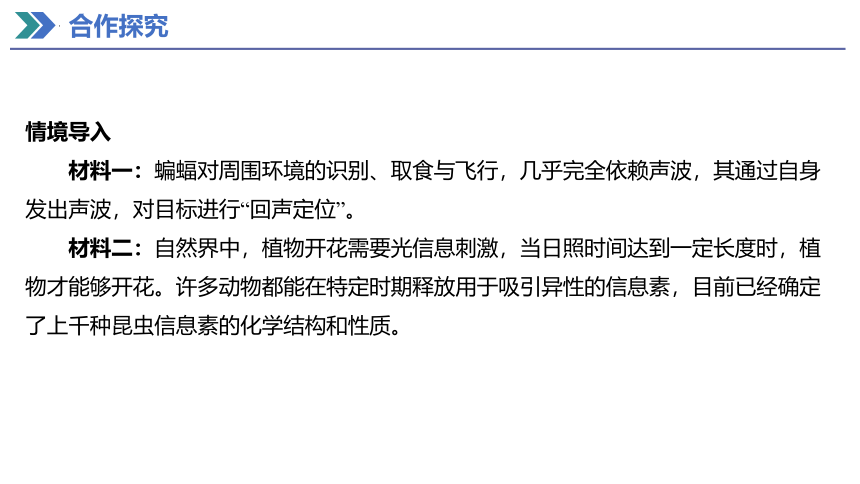 3.4生态系统的信息传递课件 (共28张PPT)人教版（2019）选择性必修2