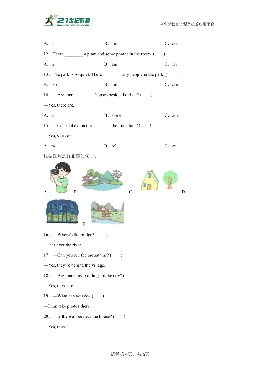 Unit 6 In a nature park 单元复习学案（知识梳理+检测+答案）