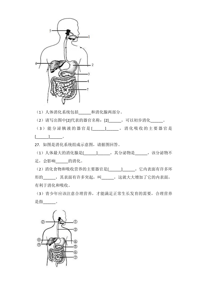 生物冀教版七年级下册 第2单元第1章第2节 二、食物在胃肠内的消化 习题（word版含解析）