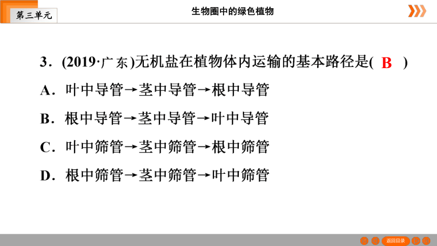 人教版生物七年级上册 第3单元　第2章被子植物的一生本章知识网络 课件（共26张PPT）