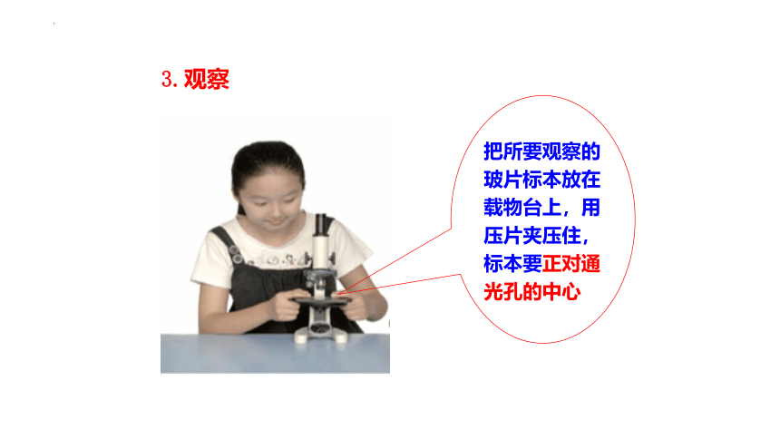 人教版七年级生物上册 2.1.1 练习使用显微镜 2022--2023学年 课件 (共23张PPT)