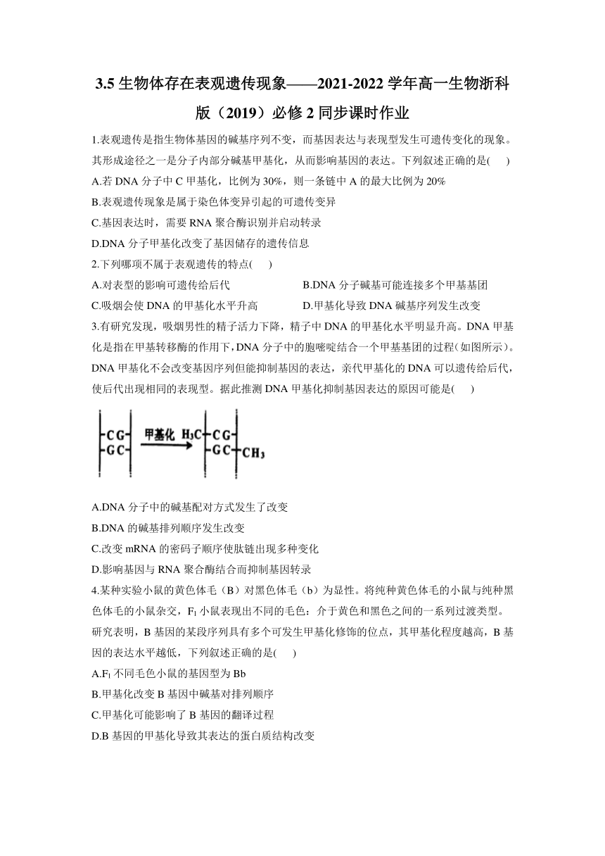 2021-2022学年高一下学期生物浙科版必修2：3.5 生物体存在表观遗传现象 课时作业（word版含解析）