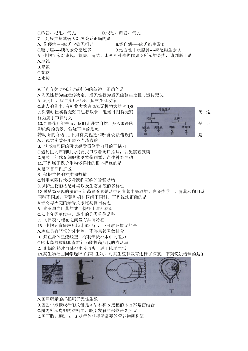 河南省商丘市柘城县2021-2022学年八年级下学期期中考试生物试题（Word版 含答案）