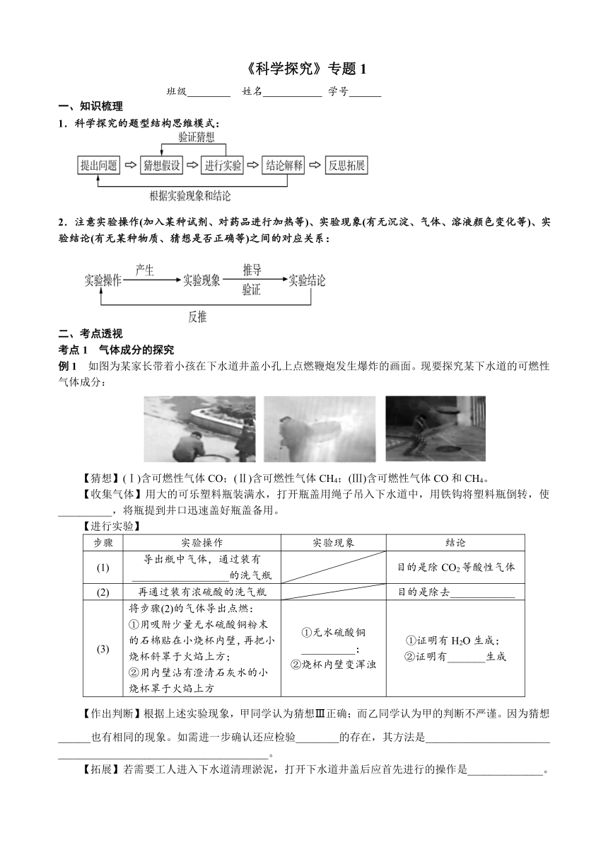 科学实验探究 考点测试 2021年中考化学专题复习