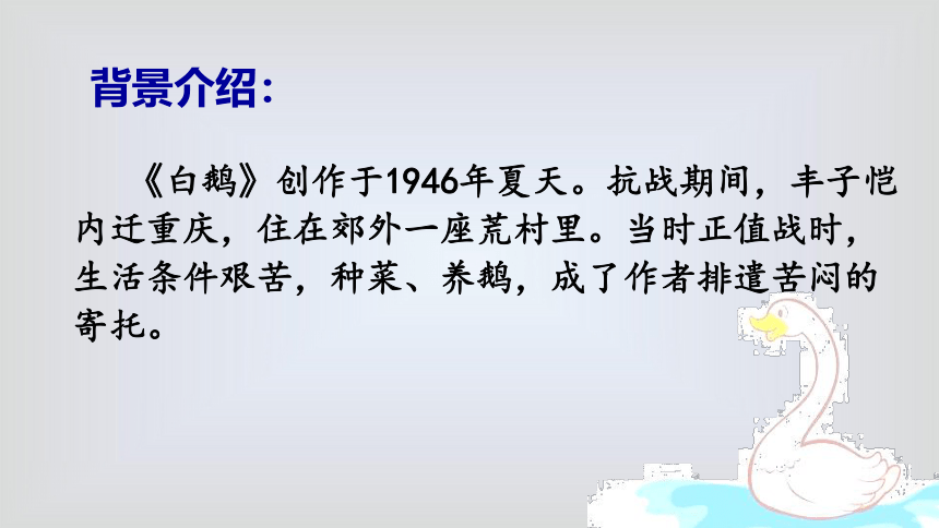 15 白鹅   课件 (共23张PPT)