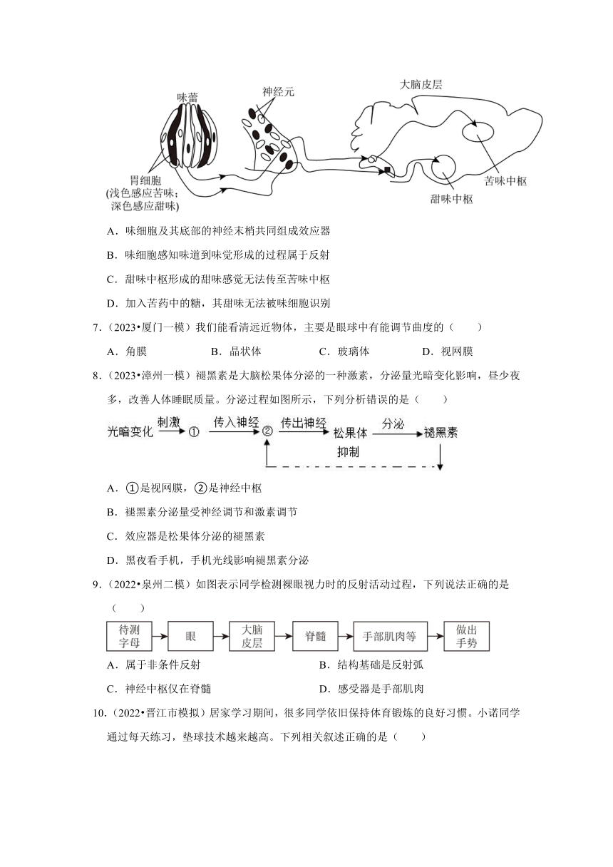 中考专题训练——6人体的神经与泌尿系统——2023年福建省中考生物（含解析）