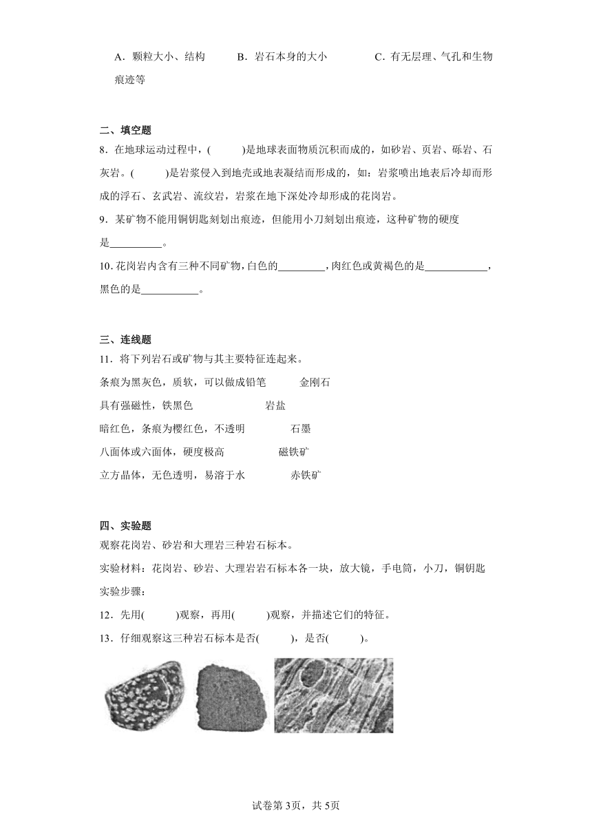 3.2 认识几种常见的岩石 知识点 同步精练（含解析） 2023-2024学年四年级科学下册同步教学（教科版）