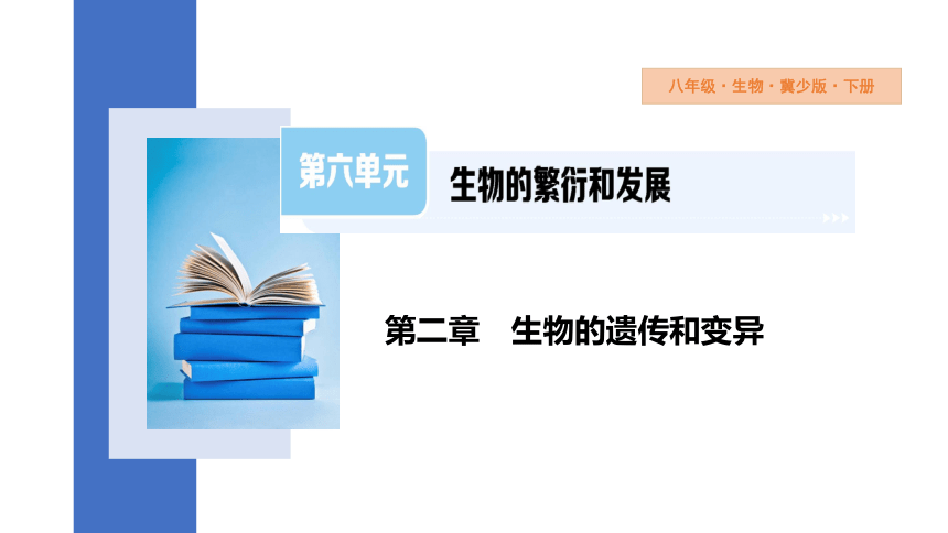 6.2.1 遗传 第1课时课件(共21张PPT)2023-2024学年初中生物冀少版八年级下册