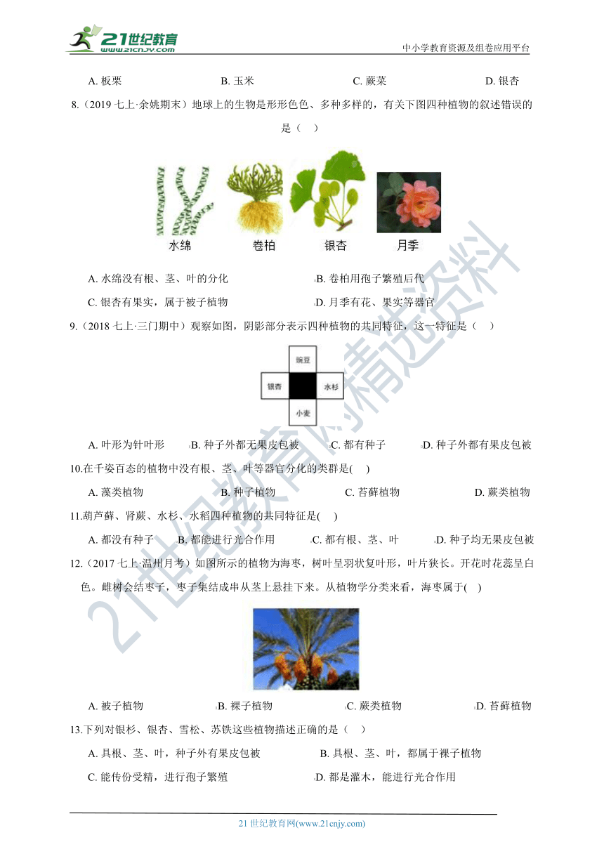 【重难点突破】浙教版7年级上册科学 第8讲 常见的植物（含答案）