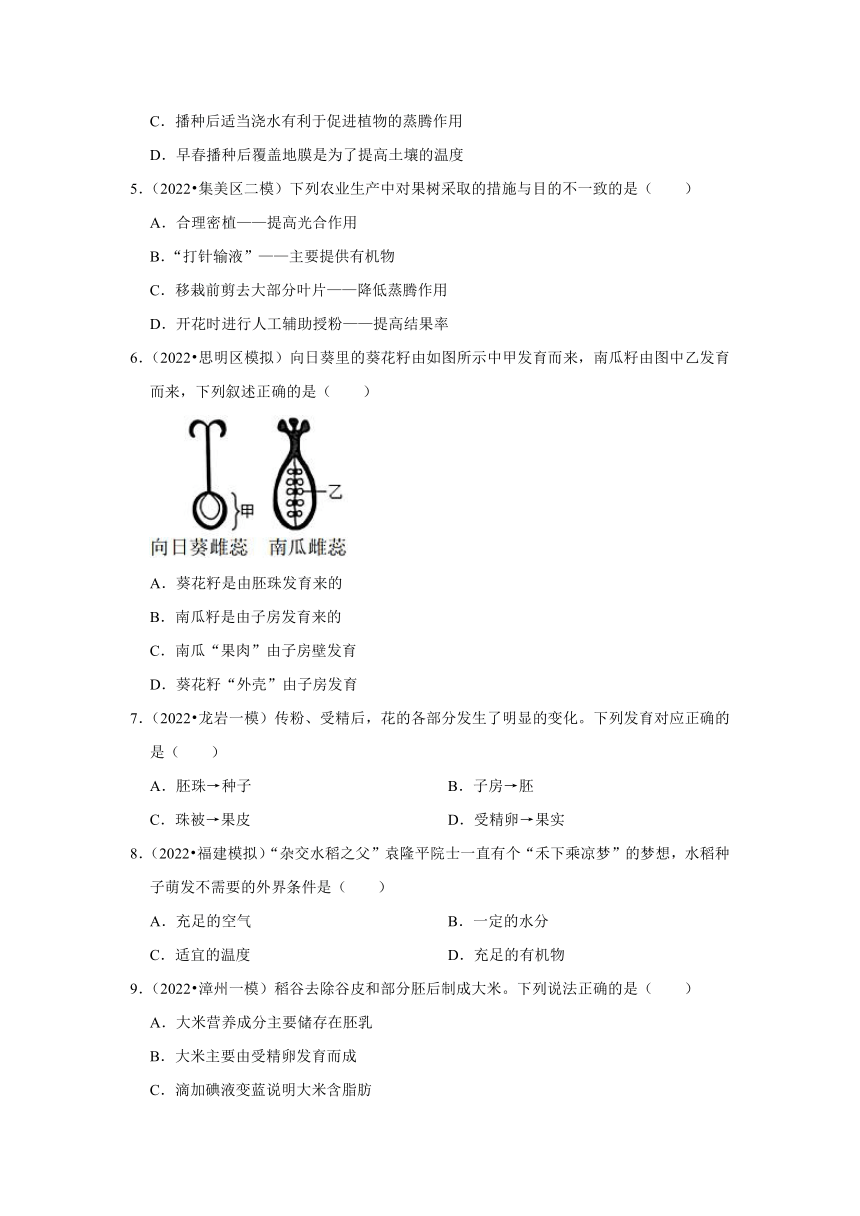 中考专题训练——3绿色植物——2023年福建省中考生物（含解析）