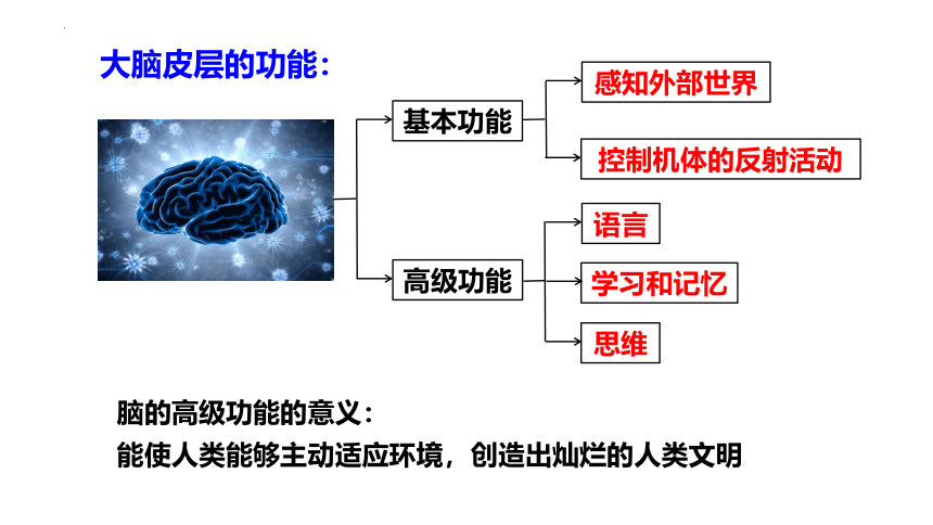 生物人教版（2019）选择性必修1 2.5人脑的高级功能课件2021-2022学年高二上学期（共32张PPT）