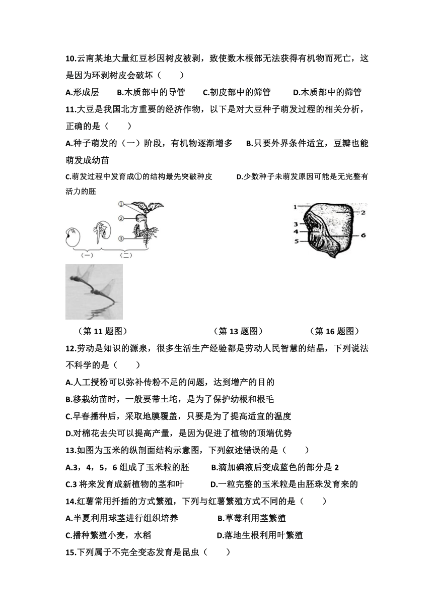 山东省济南市天桥区2022-2023学年八年级上册上学期期中统一考试生物试题(含答案)